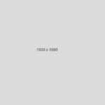 Banner1-1